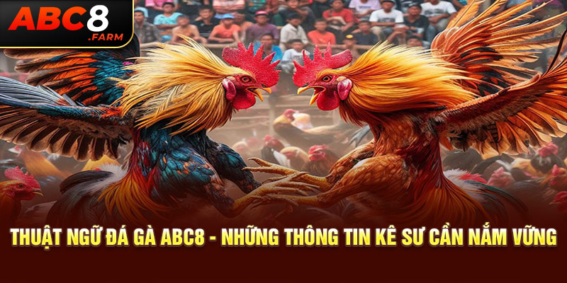 Thuật Ngữ Đá Gà ABC8 - Những Thông Tin Kê Sư Cần Nắm Vững