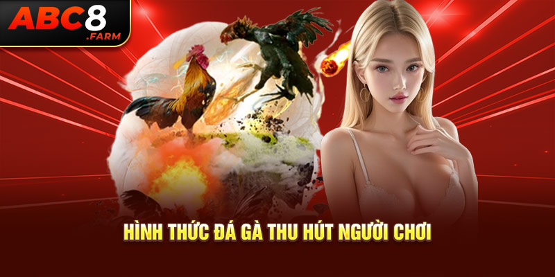 Hình thức đá gà thu hút người chơi 