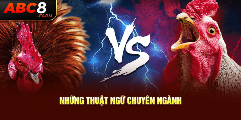 Những thuật ngữ chuyên ngành 